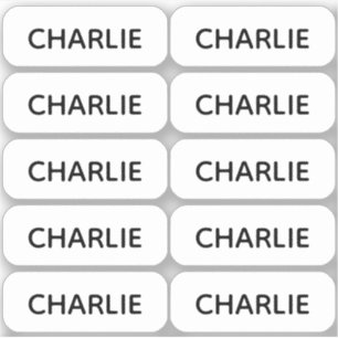 Ensemble de 10 étiquettes nominatives simples et p