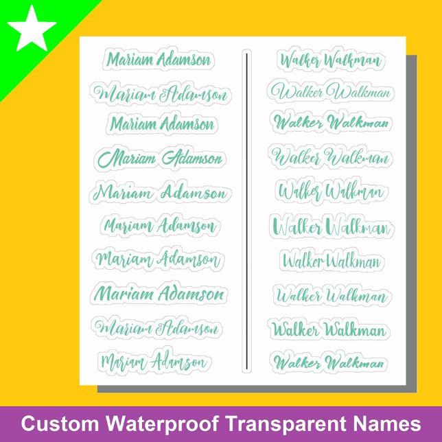 (Ensemble de 20) Autocollants de nom transparents  (Mint green name stickers
)