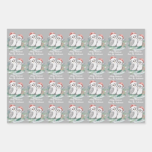 Ensemble de 3 feuilles plates de papier d'emballag (Devant)