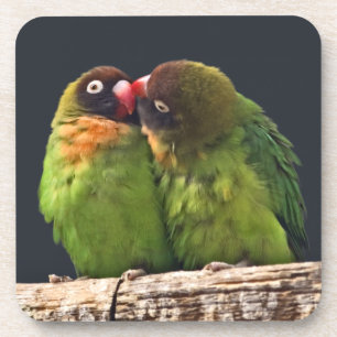 Ensemble de 6 dessous de verre Lovebird Kiss