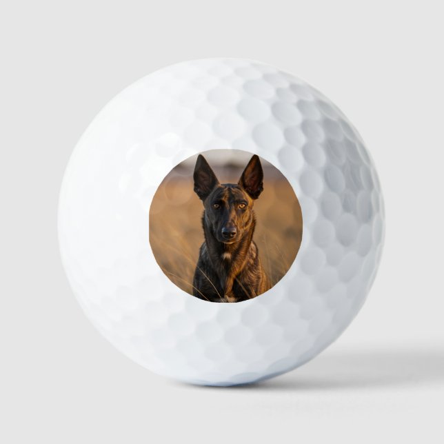 Ensemble de balle de golf personnalisé (Recto)