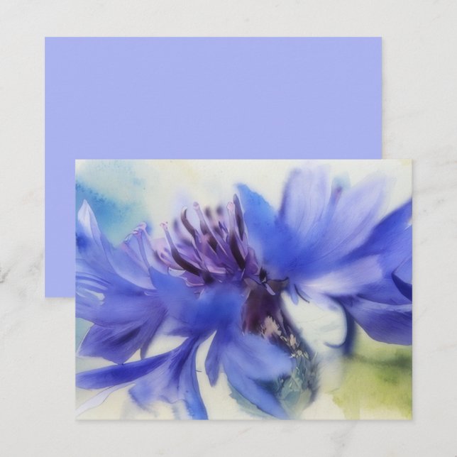 Ensemble de Cartes de Note Bleuet Bleu Bouton de C (Devant / Derrière)