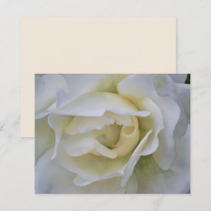 Ensemble de cartes de notes Fleur d'art Rose Blanc