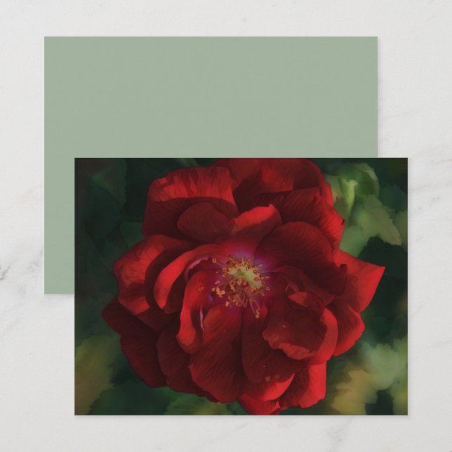 Ensemble de cartes de notes Fleur d'art Rose rouge (Devant / Derrière)