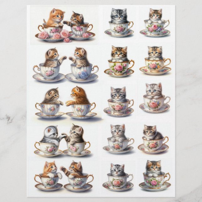 Ensemble de chatons Dariling assis dans les Teacup (Devant)