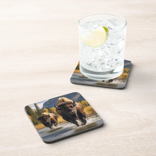 Ensemble de Dessous de verre de Buffalo de Yellows (Côté Droit)