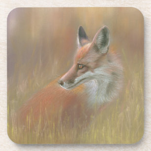 Ensemble de dessous de verre faune renard