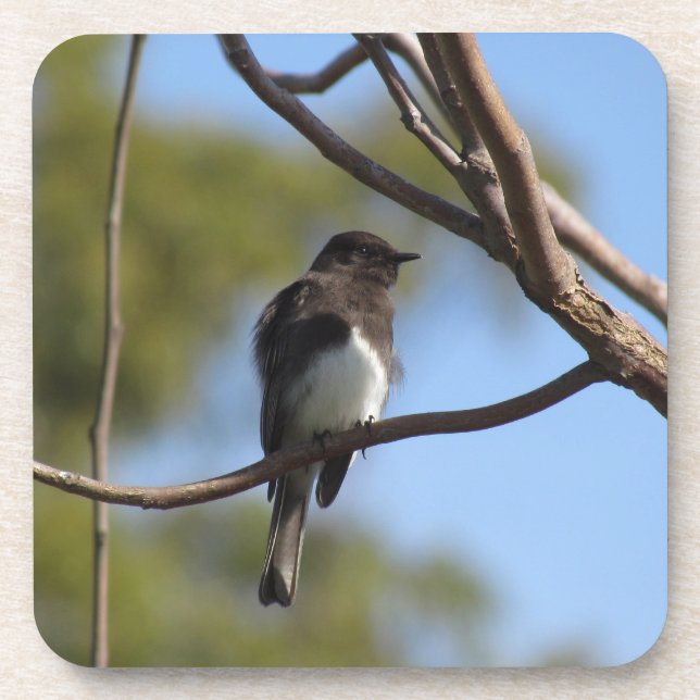 Ensemble de dessous de verre - Flycatcher (Devant)