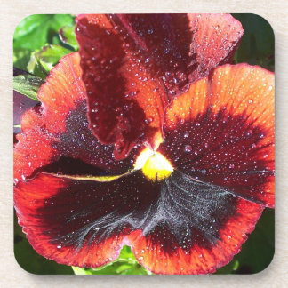 Ensemble de Dessous de verre géants à l'orange hum