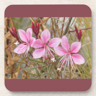 Ensemble de dessous de verre - Guara rose