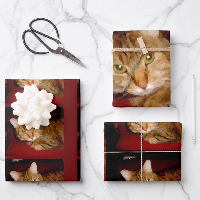 Ensemble de feuilles de papier à envelopper Lucy K (Recto)