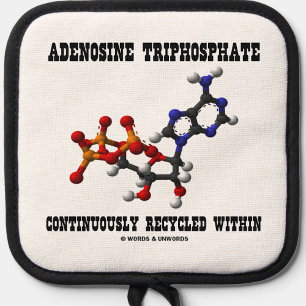 Ensemble De Gant De Cuisine Et De Manique Adénosine Triphosphate ATP Recyclé en continu