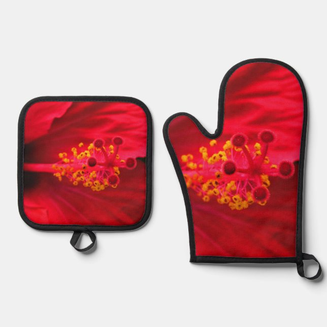 Ensemble De Gant De Cuisine Et De Manique Hibiscus (Recto)