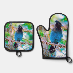 Ensemble De Gant De Cuisine Et De Manique Steller's Jay in Forest Photographie originale