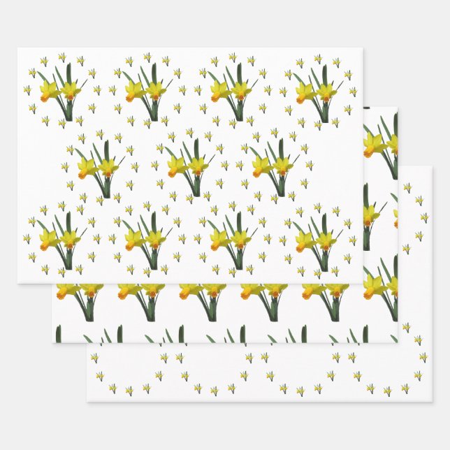 Ensemble de papier cadeau - Fleurs de jonquille X  (Lot)