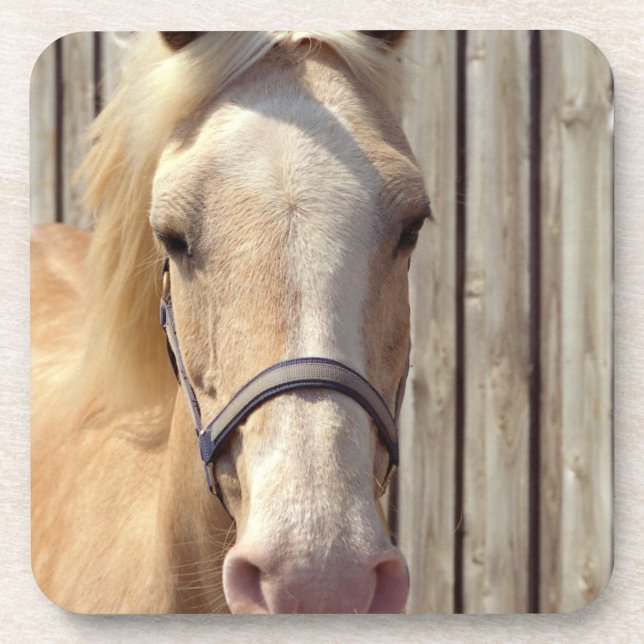 Ensemble de poney de palomino de dessous de verre (Devant)