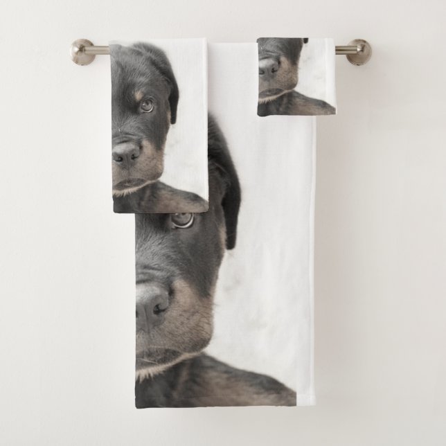 Ensemble de serviette de chiot de rottweiler (En situation)