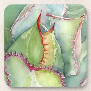 Ensemble de six dessous de verre d'aquarelle agave