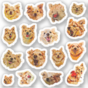 Ensemble de stickers de chien