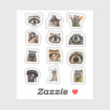 Ensemble de stickers drôles de raton laveur Meme