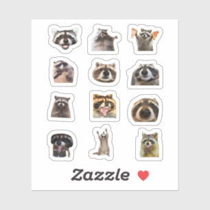 Ensemble de stickers drôles de raton laveur Meme