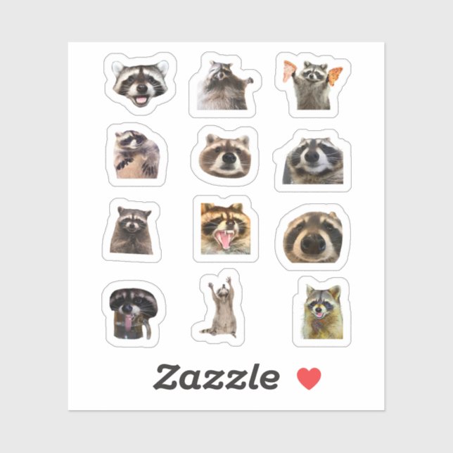 Ensemble de stickers drôles de raton laveur Meme (Feuille)