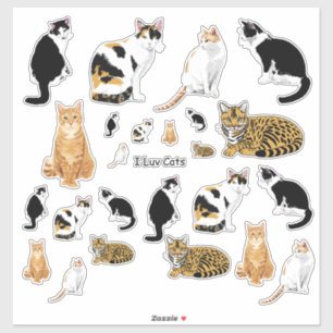 Ensemble de stickers Lg de chats mignons assortis