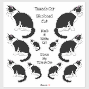 Ensemble de stickers Lg Tuxedo Cats