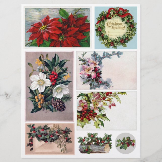 Ensemble de vrais Étiquettes Vintages de la Fleur  (Devant)