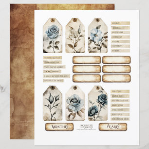 Ensemble d'éléments éphémères de roses florales vi