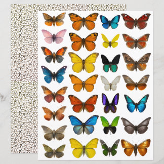 ensemble Papillon Aquarelle pour découpe soignée