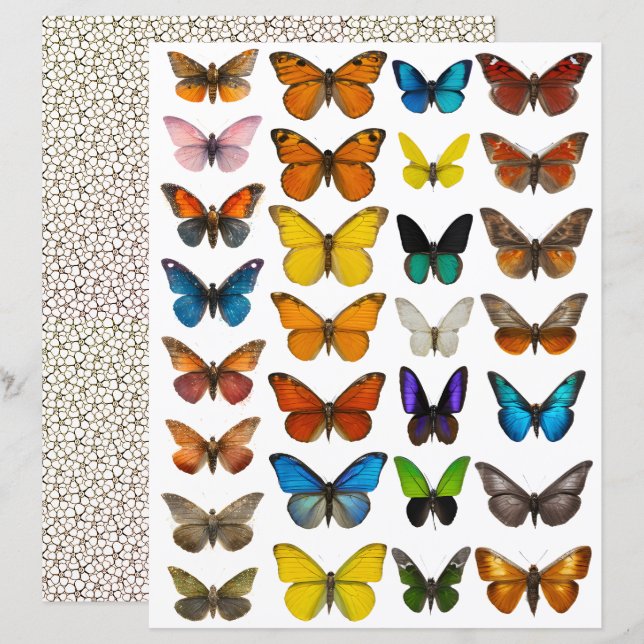 ensemble Papillon Aquarelle pour découpe soignée (Devant / Derrière)