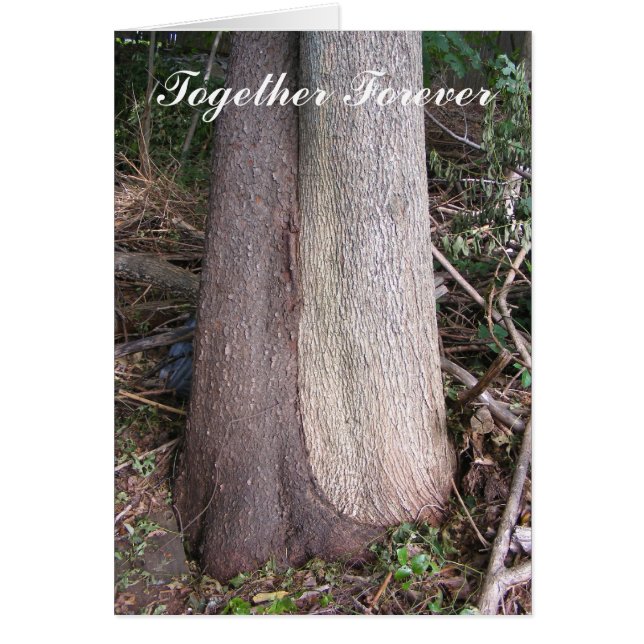 Ensemble pour toujours ~ carte (Devant)