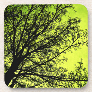 Ensemble vert de dessous de verre de liège de