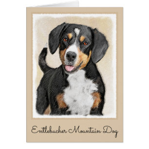 Entlebucher Mountain Dog Peinture - Art original