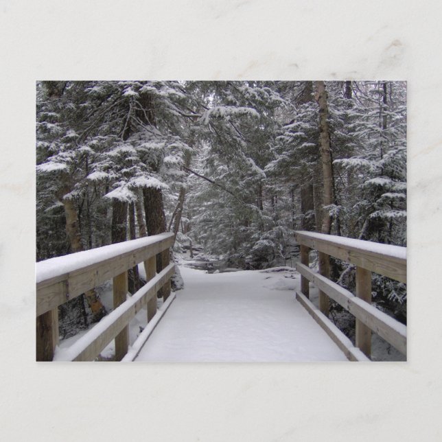 Entrée - New Hampshire Snow Scene Carte Postale (Devant)