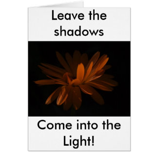 Entrez dans la lumière !