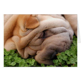 Enveloppé Autour De Ton Coeur