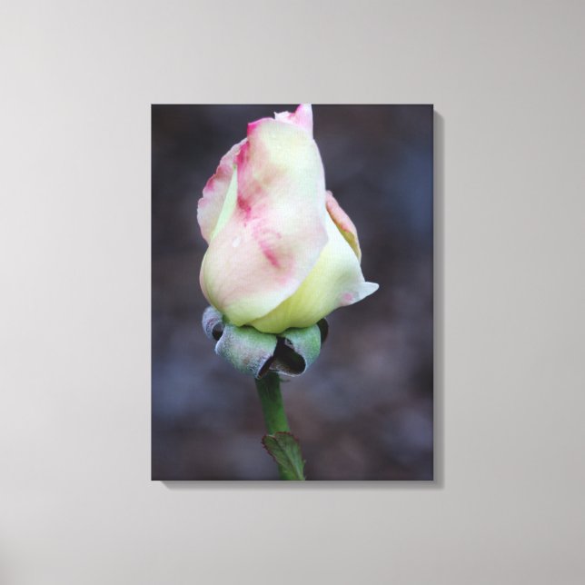 Enveloppe de toile rose (Recto)