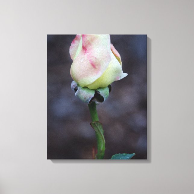 Enveloppe de toile rose (Recto)