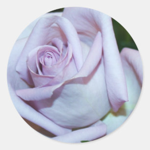 Enveloppe Rose Lavendar - Phoques et autocollants