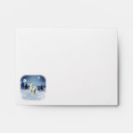 Enveloppes d'Alpaca pour la nuit d'hiver