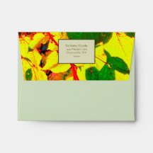 Enveloppes "Feuilles d'automne brillantes"