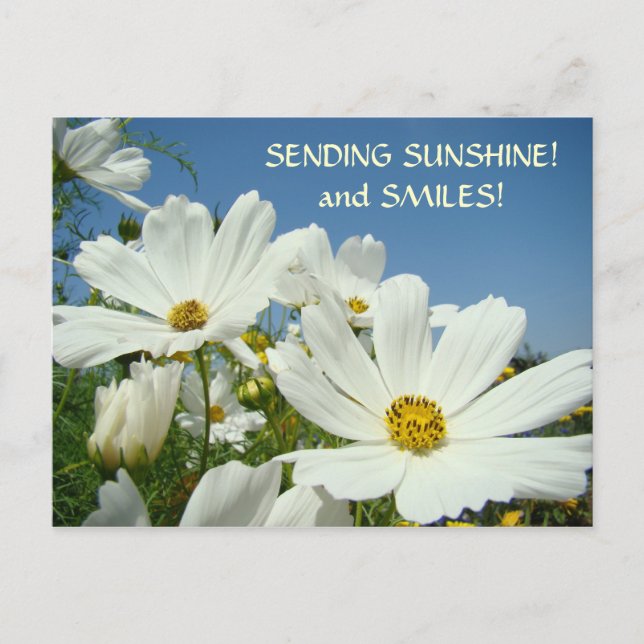 ENVOYER SUNSHINE & Smiles! Valentines de carte pos (Devant)