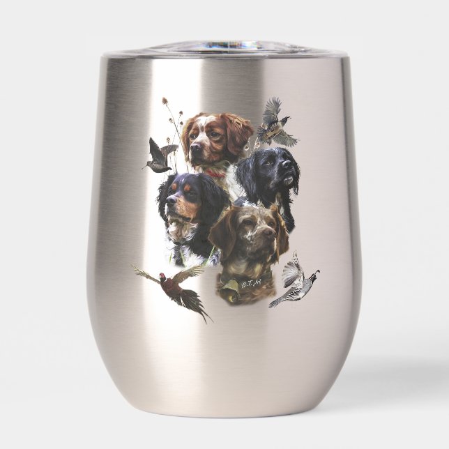 Épagneul Breton, Brittany Spaniel   (Avant)