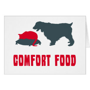 Épagneul de springer anglais