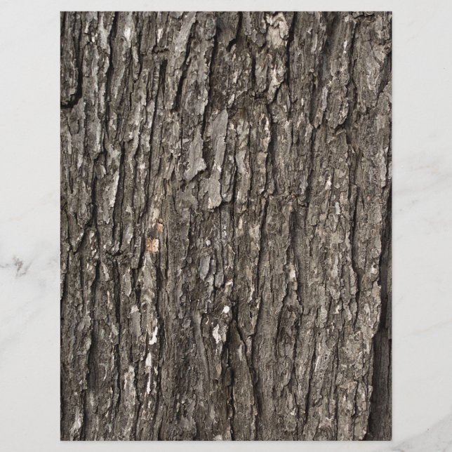 Épaisse écorce d'arbre (Devant)