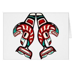 Épaulard indien de Haida