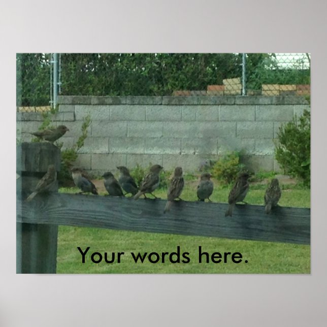 Éperons Oiseaux sur un rail Vos mots Affiches (Devant)