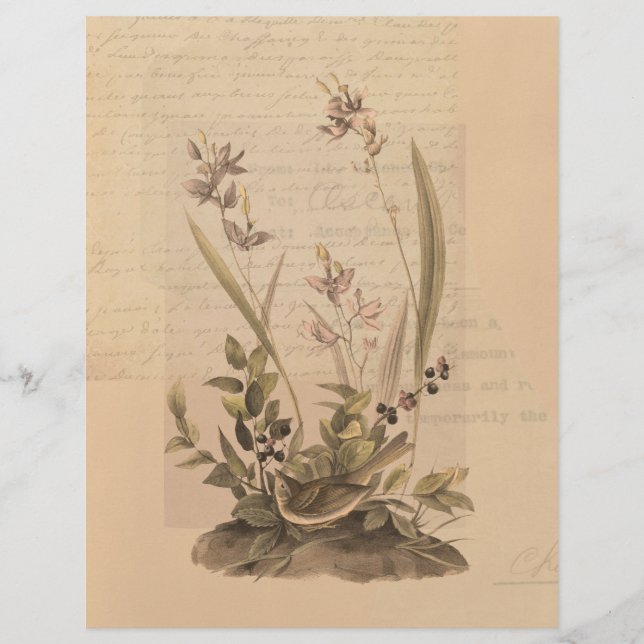 Ephemera 5 Papier à scandale (Devant)